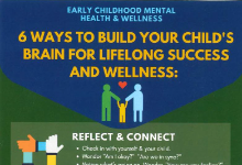 Early Childhood Mental Health and Wellness-6 Ways to Build Your Child's Brain for Lifelong Success and Wellness