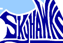 Skyhawk logo
