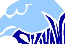 Skyhawk Logo